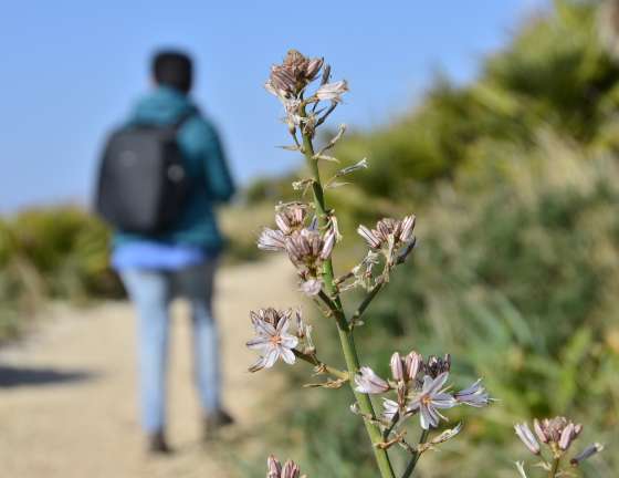 Trekking alla Riserva dello Zingaro